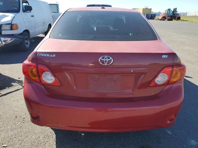 2010 Toyota Corolla Base