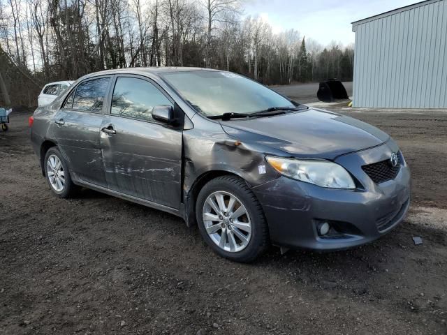 2010 Toyota Corolla Base