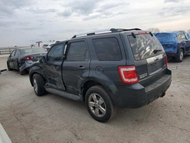 2009 Ford Escape Limited