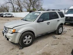 Salvage cars for sale from Copart Bridgeton, MO: 2009 Ford Escape XLT