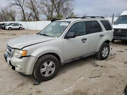 Ford salvage cars for sale: 2009 Ford Escape XLT