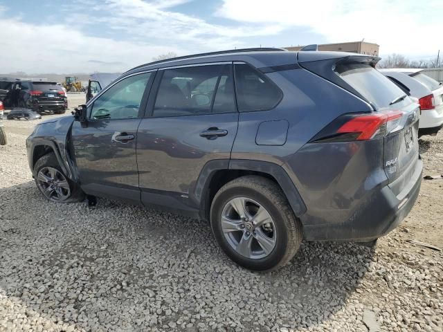 2024 Toyota Rav4 XLE