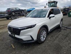 SUV salvage a la venta en subasta: 2024 Honda CR-V EXL
