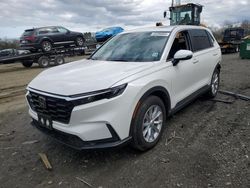 Salvage SUVs for sale at auction: 2024 Honda CR-V EXL