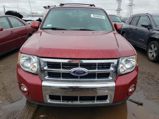 2010 Ford Escape Limited