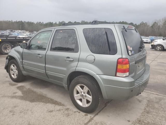 2006 Ford Escape HEV