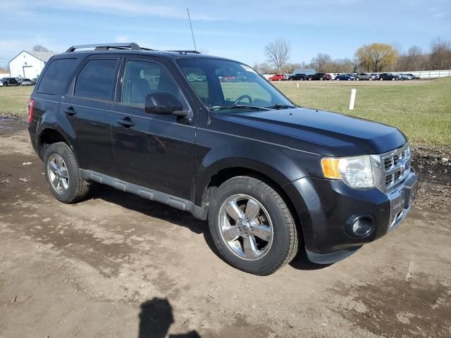 2011 Ford Escape Limited