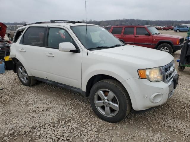 2010 Ford Escape Limited