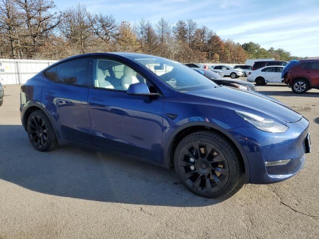 2020 Tesla Model Y