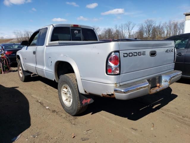 1999 Dodge Dakota