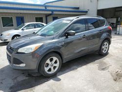 Vehiculos salvage en venta de Copart Fort Pierce, FL: 2016 Ford Escape SE