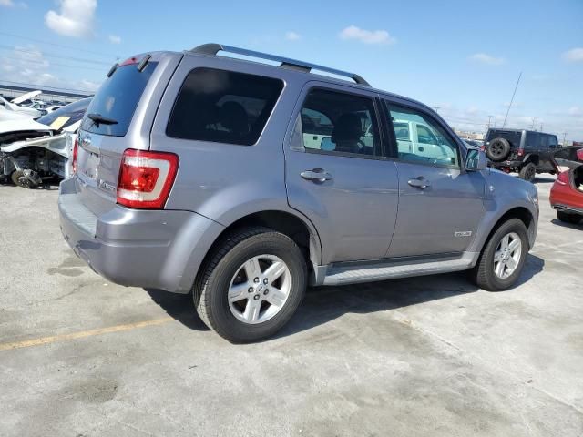 2008 Ford Escape HEV