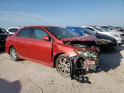 Salvage cars for sale from Copart Homestead, FL: 2012 Toyota Corolla Base