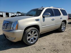 Cadillac salvage cars for sale: 2010 Cadillac Escalade Premium