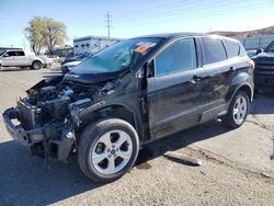 Salvage cars for sale at Albuquerque, NM auction: 2013 Ford Escape SE