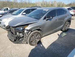 Lexus NX 300 Base salvage cars for sale: 2021 Lexus NX 300 Base