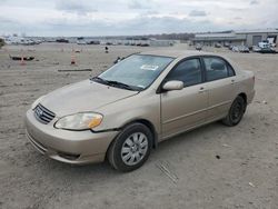 Salvage cars for sale at Earlington, KY auction: 2004 Toyota Corolla CE