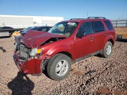 Salvage cars for sale from Copart Phoenix, AZ: 2012 Ford Escape XLT