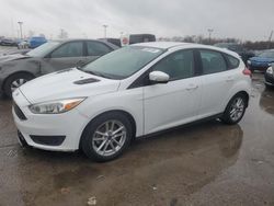 Ford Focus SE Vehiculos salvage en venta: 2016 Ford Focus SE