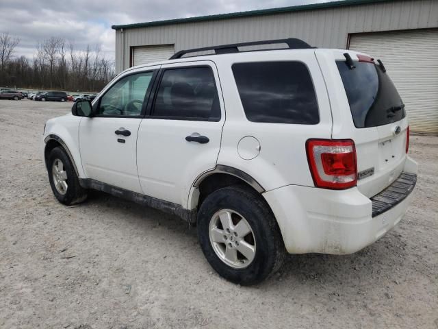 2012 Ford Escape XLT