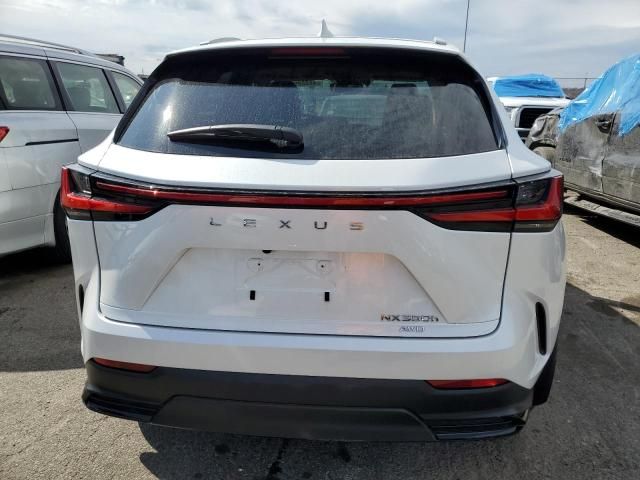 2024 Lexus NX 350H Base