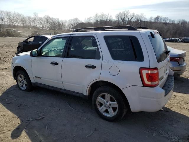 2008 Ford Escape HEV