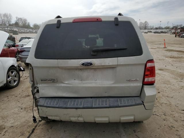 2009 Ford Escape XLT