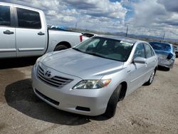 Salvage cars for sale at Tucson, AZ auction: 2009 Toyota Camry Hybrid