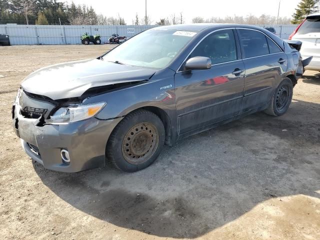 2010 Toyota Camry Hybrid