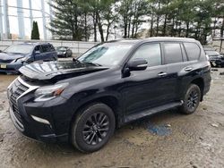 Salvage cars for sale from Copart Windsor, NJ: 2021 Lexus GX 460 Premium