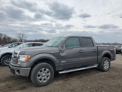 Salvage trucks for sale at Des Moines, IA auction: 2013 Ford F150 Supercrew