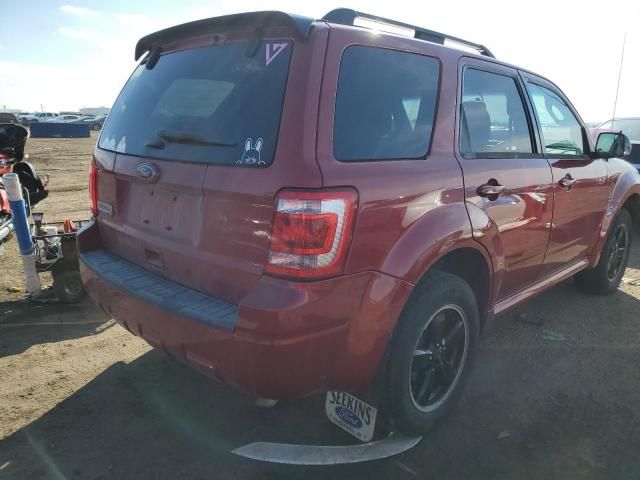 2012 Ford Escape XLT