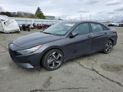 Salvage cars for sale at Vallejo, CA auction: 2023 Hyundai Elantra SEL