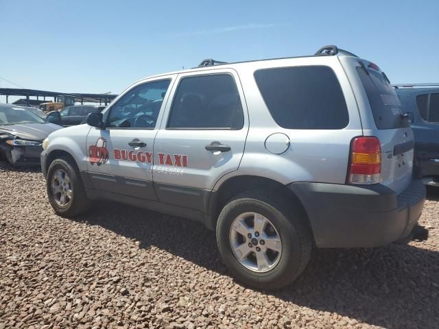 2005 Ford Escape XLT