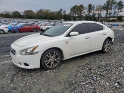 Nissan Maxima S salvage cars for sale: 2013 Nissan Maxima S