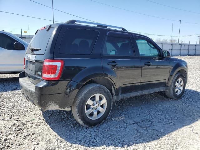 2011 Ford Escape Limited