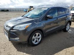 Salvage cars for sale from Copart Magna, UT: 2016 Ford Escape SE