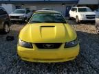 2002 Ford Mustang