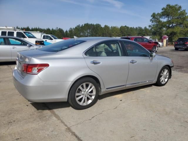 2010 Lexus ES 350