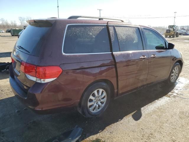 2010 Honda Odyssey EXL