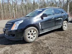 Salvage cars for sale from Copart Bowmanville, ON: 2010 Cadillac SRX Luxury Collection