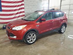 2014 Ford Escape SE for sale in Columbia, MO