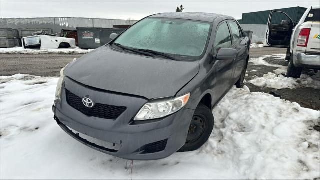 2009 Toyota Corolla Base