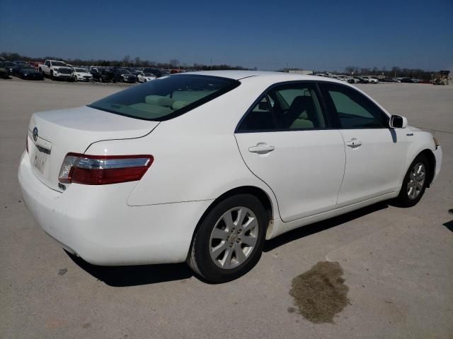 2009 Toyota Camry Hybrid