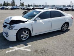 Salvage cars for sale from Copart Rancho Cucamonga, CA: 2009 Toyota Camry SE