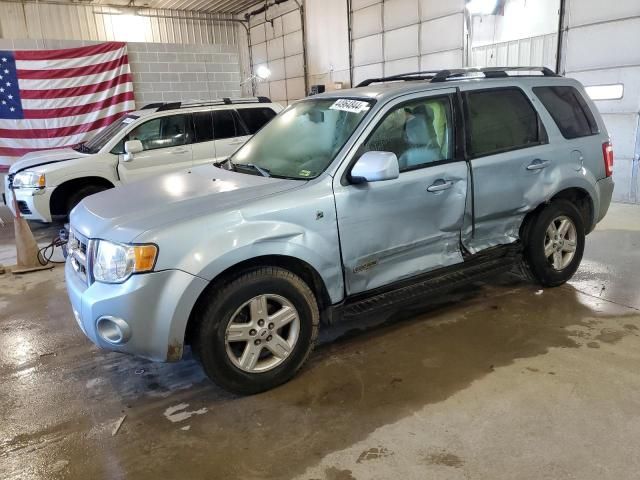 2008 Ford Escape HEV