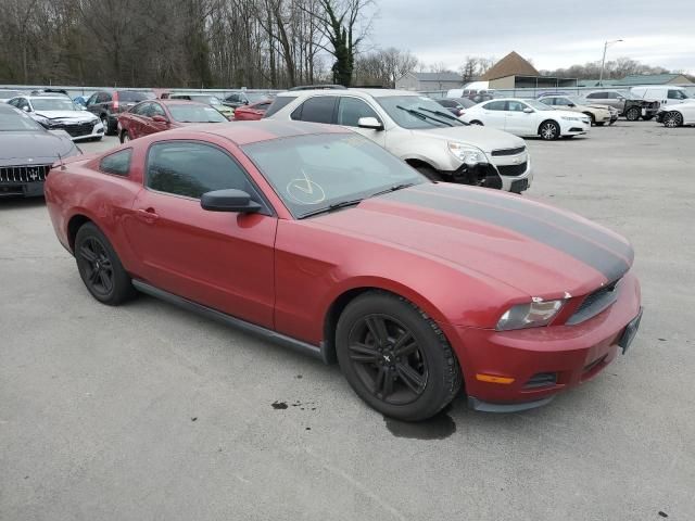 2010 Ford Mustang