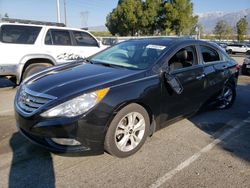 Salvage cars for sale from Copart Rancho Cucamonga, CA: 2013 Hyundai Sonata SE