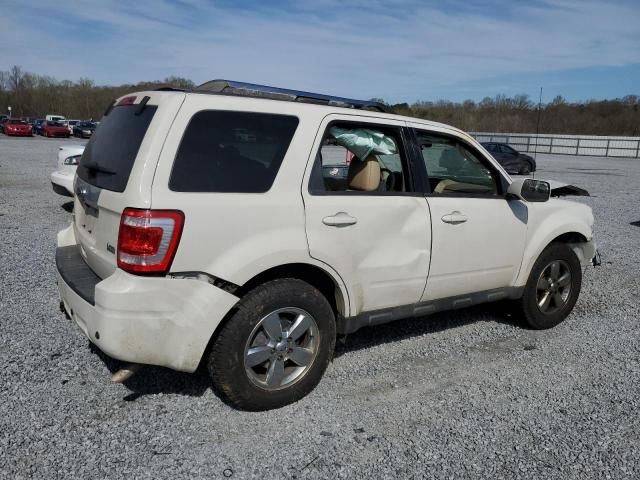 2010 Ford Escape Limited