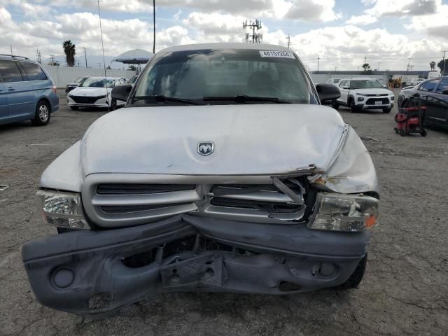 2003 Dodge Dakota SXT